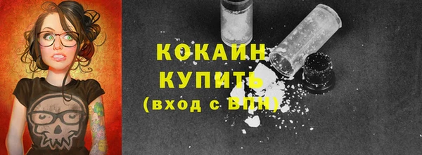 мяу мяу мука Сафоново